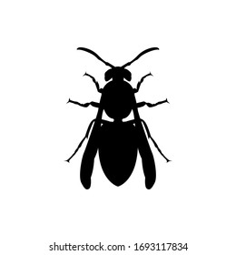 Vector Wasp Illustration. Wasp Silhouette