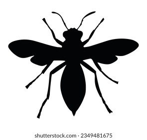 Vector wasp illustration. wasp silhouette.