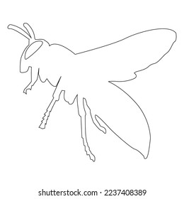 vector wasp logo icon template design