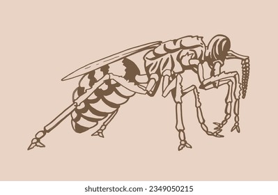 Vector wasp on sepia background, insect. Graphical vintage illustration
