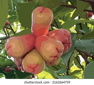 vector water apples illustration template