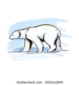 Vector water color illustration polar bear in the Arctic