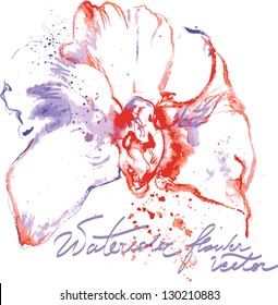 Vector water color orchid