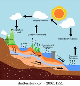 A vector of water cycle .