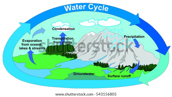 Vector Water Cycle Nature All Part Stock Vector (Royalty Free) 543156805