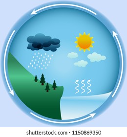 Vector water cycle in nature, illustration