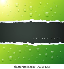 vector water droplets on green color background