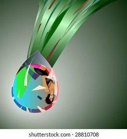 Vector. Water Droplets on Leaf