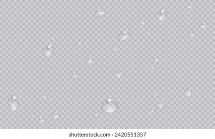 Vector water droplets. PNG droplets, condensation on glass, on various surfaces. Realistic droplets on a transparent isolated background. PNG.