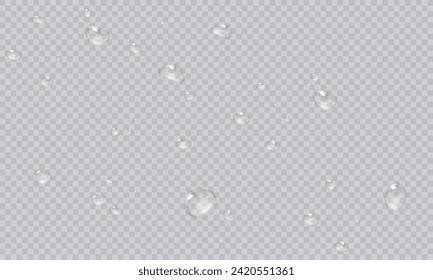 Gotas de agua vectorial. Gotas PNG, condensación en vidrio, en varias superficies. Gotas realistas sobre un trasfondo transparente y aislado. Papúa Nueva Guinea.