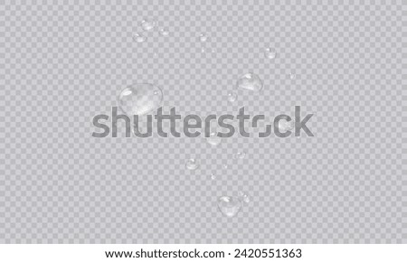 Vector water droplets. PNG droplets, condensation on glass, on various surfaces. Realistic droplets on a transparent isolated background. PNG.