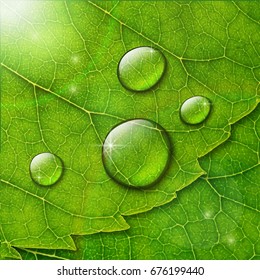 Vector water drops with  flare and bokeh on green leaf macro background. Eco concept.