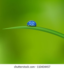 Vector water drops on blade of grass