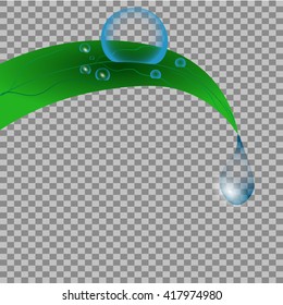 vector water drops on blade of grass