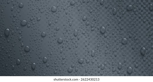 Vector Gotas de agua sobre vidrio. Gotas de lluvia sobre fondo transparente.