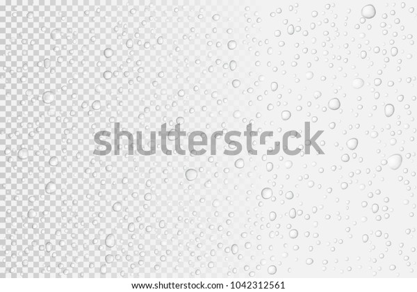 Vector Water drops on glass. Rain drops on\
transparent background.