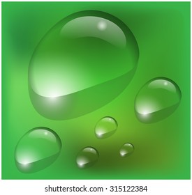 Vector water drops on green background 