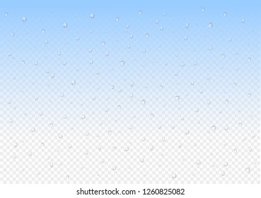 Vector water drops on transparent background. 3d realistic rain drops or bubbles without shadows. pure water splashes for light transparent surface. Many sizes and forms. 