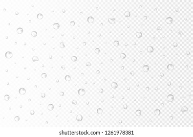 Vector water drops on transparent background. 3d realistic rain drops or bubbles without shadows. pure water splashes for light transparent surface. Many sizes and forms. 