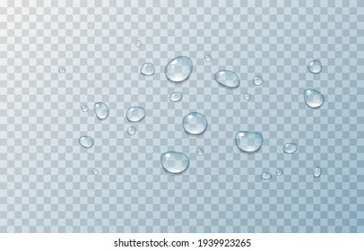 Gotas de agua vectorial. Gotas PNG, condensación en la ventana, en la superficie. Las gotas realistas sobre un fondo transparente aislado.