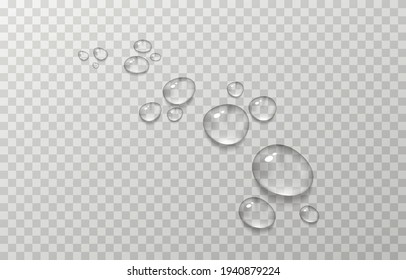 Vector Water Drops. PNG Drops, Condensation On The Window, On The Surface. Realistic Drops On An Isolated Transparent Background.