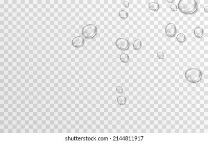 Gotas de agua vectorial. Gotas PNG, condensación en la ventana, en la superficie. Las gotas realistas sobre un fondo transparente aislado.