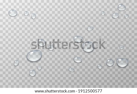 Vector water drops. PNG drops, condensation on the window, on the surface. Realistic drops on an isolated transparent background. PNG.