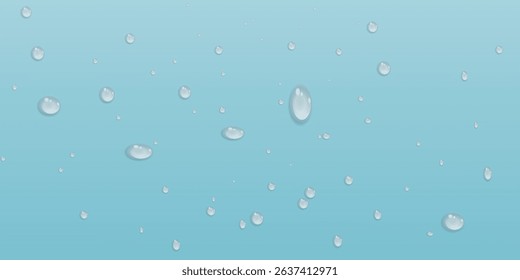 Vector water drops.Realistic drops of clean water for creative banner design isolated background. PNG.