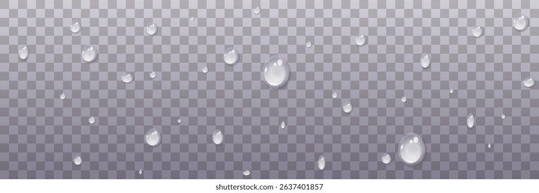 Vector water drops.Realistic raindrops.Bubbles, rain, water.EPS 10.