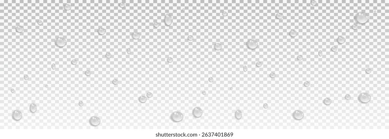 Vector water drops.Realistic raindrops.Bubbles, rain, water.EPS 10.