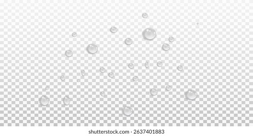 Vector water drops.Realistic raindrops.Bubbles, rain, water.EPS 10.