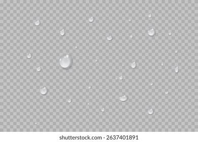 Vector water drops.Realistic raindrops.Bubbles, rain, water.EPS 10.
