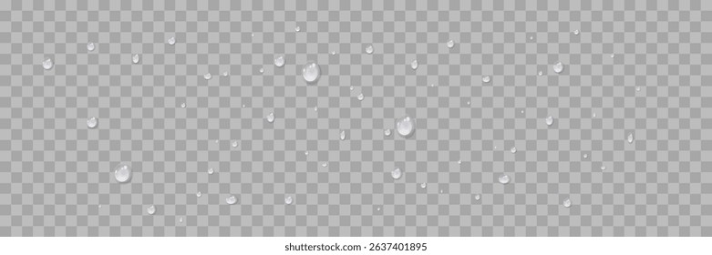 Vector water drops.Realistic raindrops.Bubbles, rain, water.EPS 10.