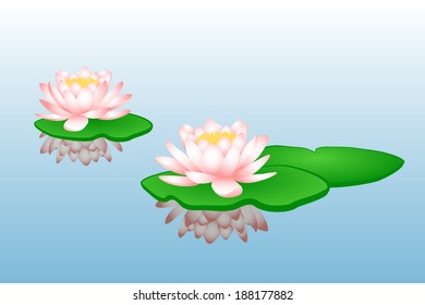 Vector Water Lilies Stock Vector (Royalty Free) 188177882 | Shutterstock