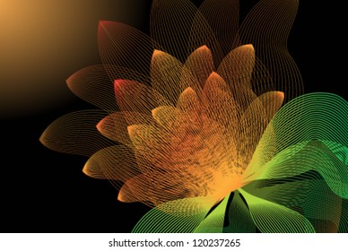 Vector. Water lily