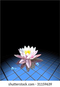 vector, Water lily