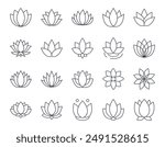 Vector water lily icon. Yoga lotus symbol, flower of well-being and healthy lifestyle, elegant blooming. Editable stroke thin line set. Natural simple plant elements on white background