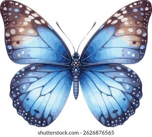 Vector watercollor painted illustration of a blue butterfly