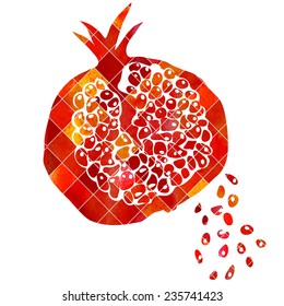 vector watercolor abstract pomegranate