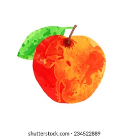 vector watercolor apple