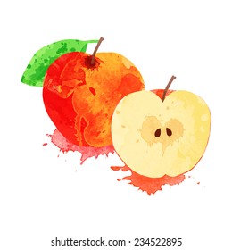 vector watercolor apple