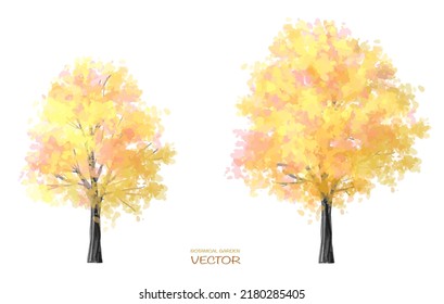 Vector of watercolor autumn blooming tree side view isolated on white background for landscape and architecture drawing, elements for environment or and garden,botanical elements for section 