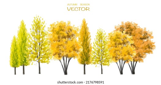 Vector watercolor autumn tree side view isolated on white background for landscape and architecture drawing, elements for environment or and garden,botanical elements for section 