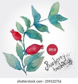 Vector watercolor background with grean leaves and berries. Artistic vector design for banners, greeting cards,sales, posters. 