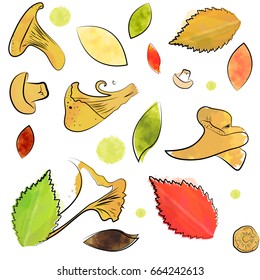 Vector watercolor background. Mushrooms and leaves