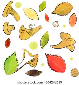 Vector watercolor background. Mushrooms and leaves