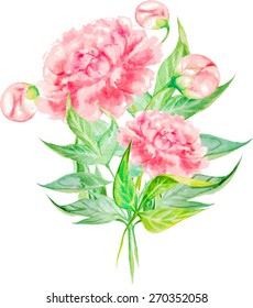Vector watercolor background with peony