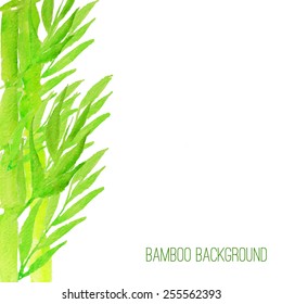 Vector watercolor bamboo background with green leaves on white background.