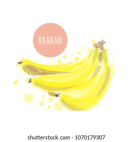 vector watercolor banana illustration. hand drawn banana. 