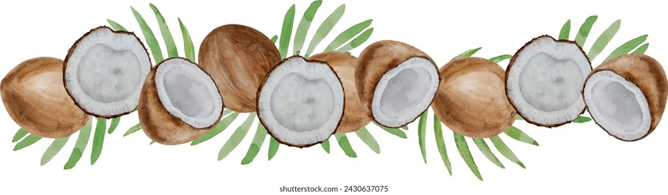 Vector watercolor banner of coconuts. Coconut halves and parts, palm leaves, hand painted on paper, white background, for design, frame, recipes, cosmetics, postcard, invitation, backgrounds